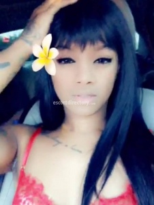 escorts Young and Fun