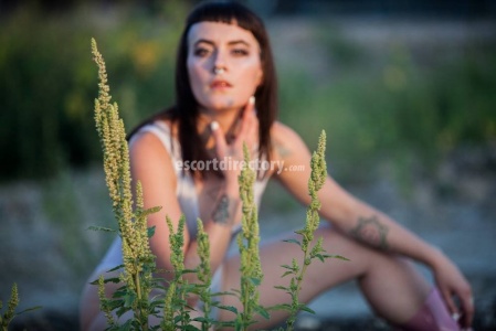 escorts Amnesia Anhedonia