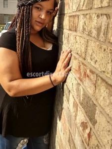 escorts Paradise k19