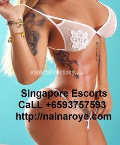escorts singaporeescorts