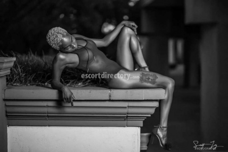 escorts Jestic