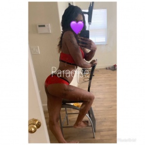 escorts Paradise
