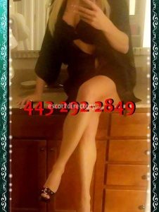 escorts Kasey Curves