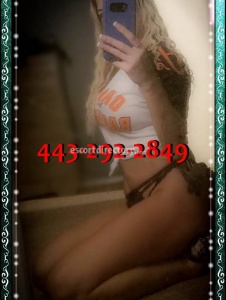 escorts Kasey Curves