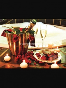 escorts Ashley of Dallas