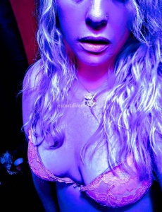 escorts Playful Kitten