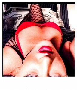 escorts MissGeorgiaSoutheXXXViP