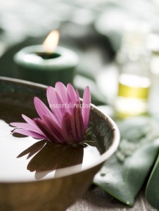 escorts Toronto companion