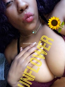escorts Sunflower