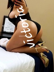 escorts Maximum Wellness