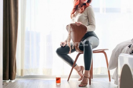 escorts The Rare Bird