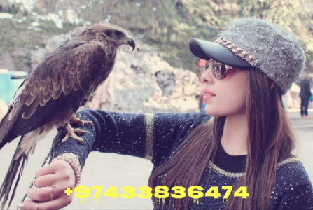 escorts • Verified Indian Model Maya +974-33836474