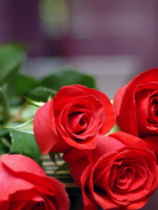 escorts Chittagong Escorts : 01783361399