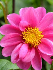 escorts Chittagong Spa | 01783361399